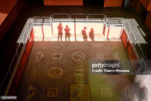 Tourists are looking at the Dionysus mosaic in the Romano-Germanic Museum . The museum, opened in 1974, is located next to Cologne Cathedral, on the...