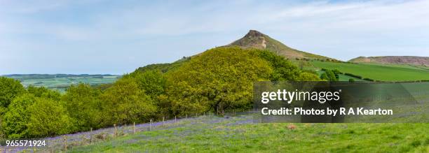 roseberry topping, north yorkshire, england - stitching stock-fotos und bilder