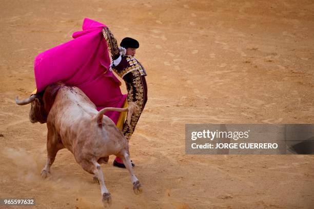 Peruvian matador Andres Roca Rey performs a pass with capote on a bull during the Corpus bullfighting festival at the Granada bullring on June 1,...