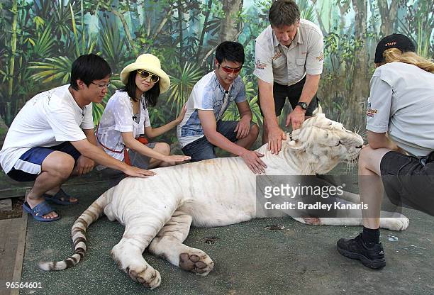 Chinese film stars Lu Yi and Bao Lei meet Bengal tiger Mohan as they welcome in the Chinese New Year of the Tiger at Dreamworld theme park on...