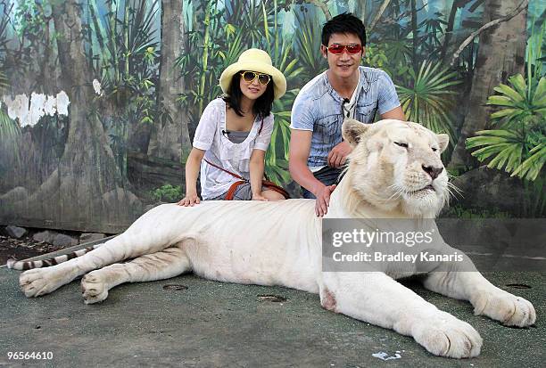 Chinese film stars Lu Yi and Bao Lei meet Bengal tiger Mohan as they welcome in the Chinese New Year of the Tiger at Dreamworld theme park on...