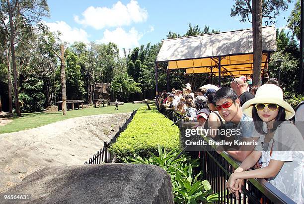 Chinese film stars Lu Yi and Bao Lei watch the Bengal tiger show as they welcome in the Chinese New Year of the Tiger at Dreamworld theme park on...