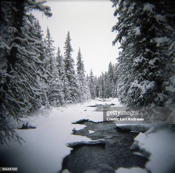 frozen mountain river - lori andrews stock pictures, royalty-free photos & images