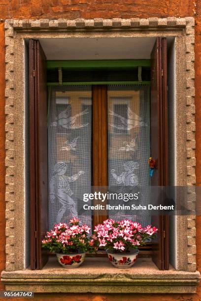 nice window with flowers in venice, italy - brillant foto e immagini stock