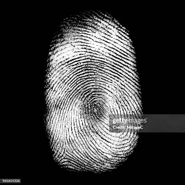 human fingerprint - fingerprinting stock-fotos und bilder