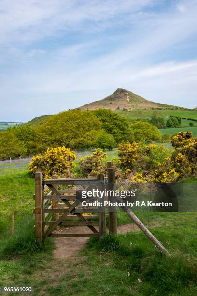 gate at roseberry topping, north york moors, england - gorse stock pictures, royalty-free photos & images