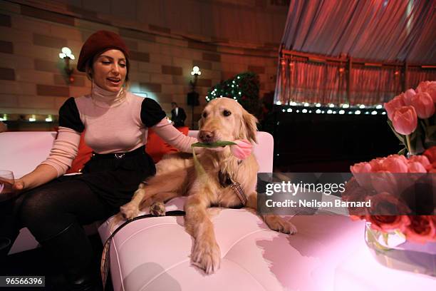 Actress Jennifer Esposito attends the ''Be My Valentine'' Doggie Dinner Party at Gotham Hall on February 10, 2010 in New York City.