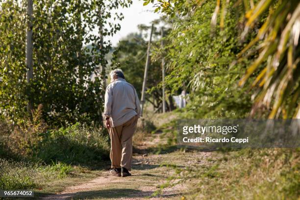 Uruguayan politician and former President of Uruguay José Mujica walks around his house during a portrait session on May 21, 2010 in Montevideo,...