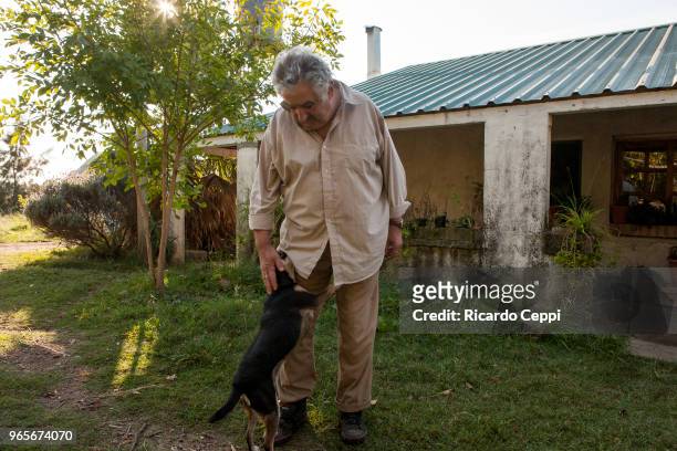 Uruguayan politician and former President of Uruguay José Mujica plays with his dog at his home on May 21, 2010 in Montevideo, Uruguay. .