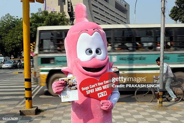 Member of People for the Ethical Treatment of Animals dressed as a giant condom hands out animal birth control leaflets during a awareness campaign...