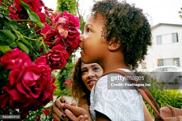 mother and daughter - mother daughter roses stock-fotos und bilder