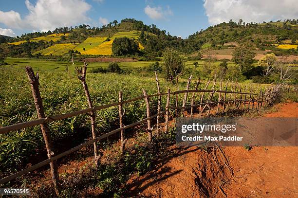 road and fence in green countryside of myanmar - max knoll stock pictures, royalty-free photos & images