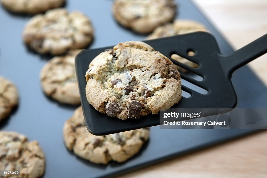One chocolate chip cooky lifted off baking tray