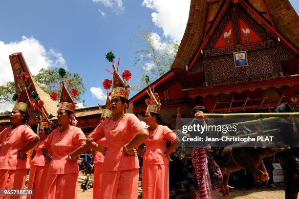 Defile lors d'une ceremonie funeraire, en Sulawesi du Sud dans le pays Toraja, Indonesie.
