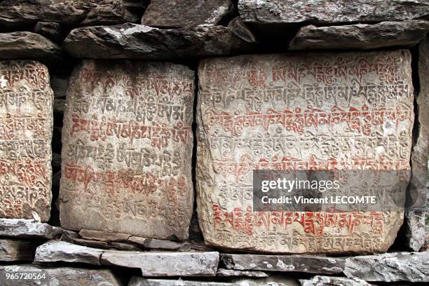 Pierres gravées avec des formules bouddhistes en caractères tibétains le long d'un sentier de la région du Tamang au Népal, le 21 avril 2012 - Ces...