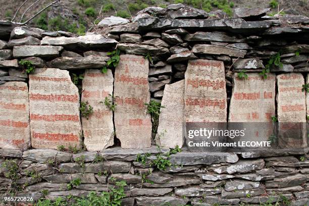 Pierres gravées avec des formules bouddhistes en caractères tibétains le long d'un sentier de la région du Tamang au Népal, le 21 avril 2012 - Ces...