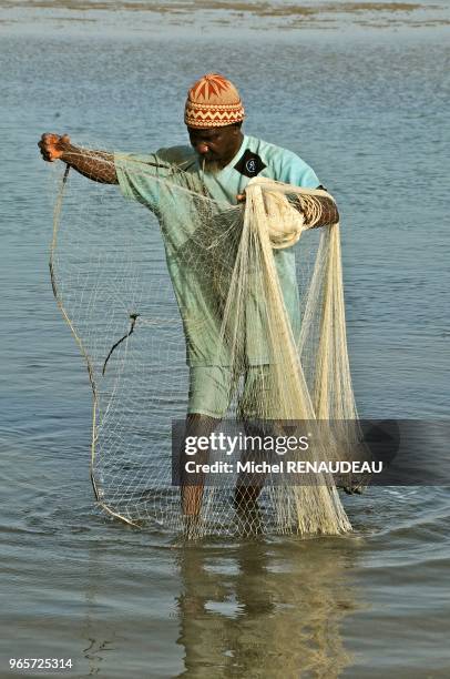 West Africa, Senegal, Sine Saloum, landscapes, fishing hawk. Afrique de l'Ouest, Senegal, Sine_saloum, Paysages, peche a l'epervier.