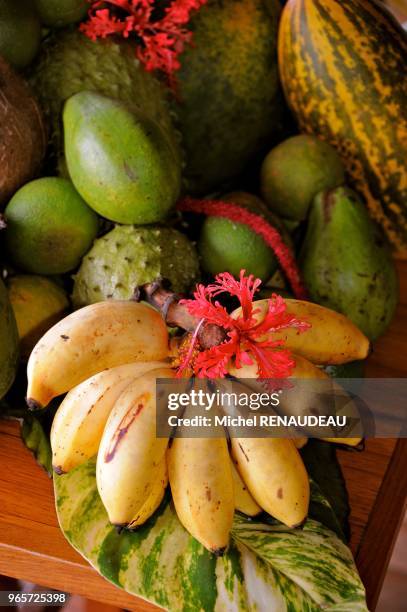 Madagascar, Nosy Be area, Island of Nosy Komba, Kumba Tsara Lodge.