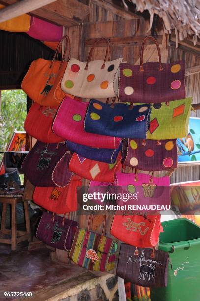Madagascar, Nosy Be area, Island of Nosy Ambariovato , Mozambique Channel, Village Ampangorina.