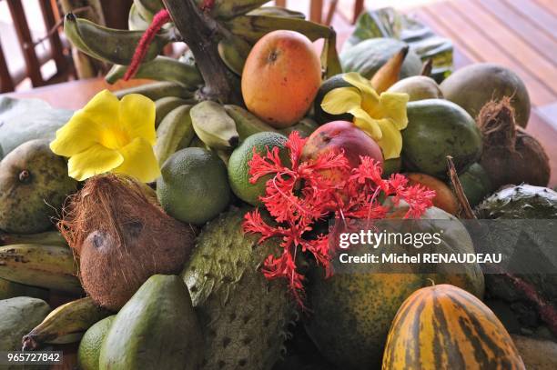 Madagascar, Nosy Be area, Island of Nosy Komba, Kumba Tsara Lodge.