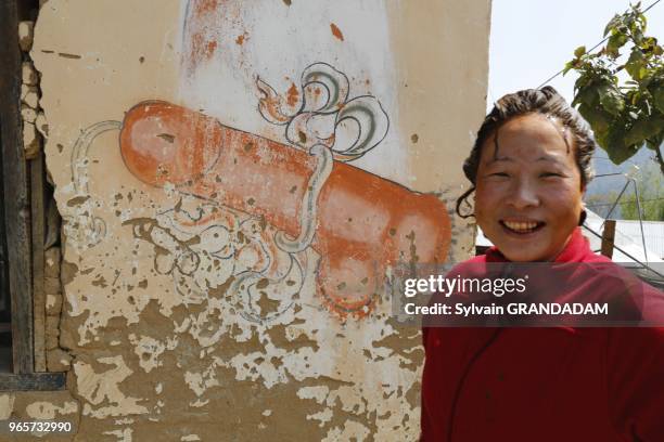 Bhutan , on the road from Thimphu to Punakha trough Dochu-la pass , painted phallus for prosperity and fertility on a house wall // Bhoutan ,sur la...