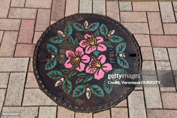 Bouche d'Egout de Okayama, Honshu, Japon.