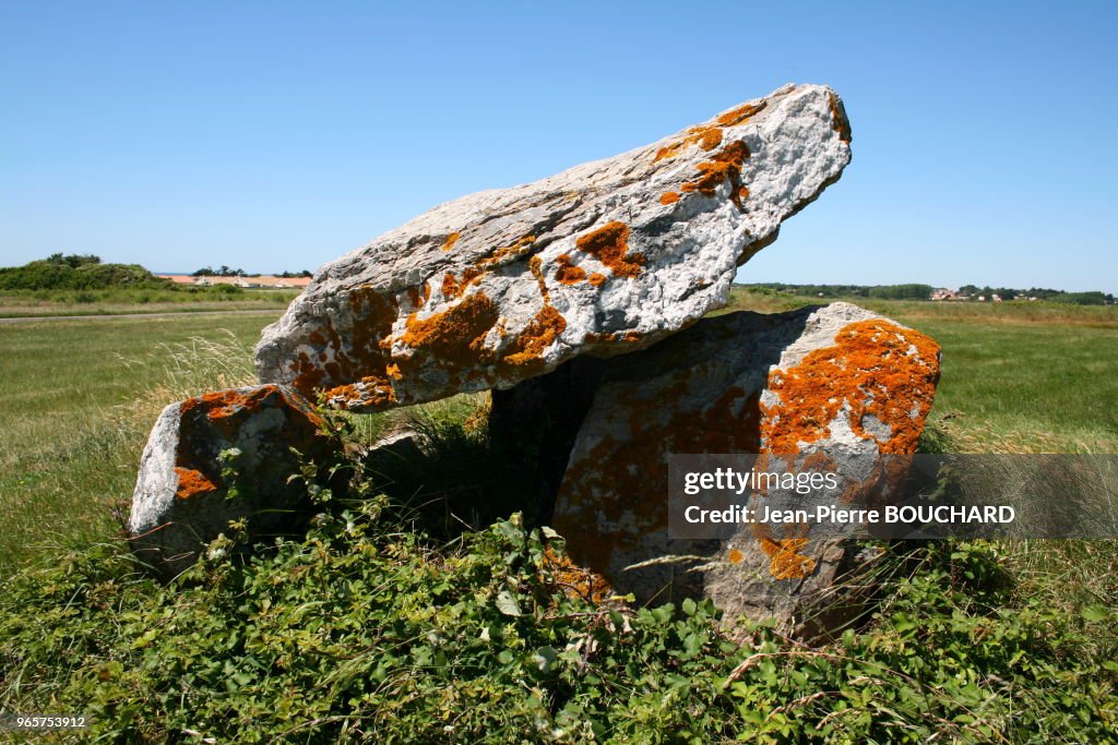 Le dolmen dit La PierreLevée de Soubise de Brétignolles sur mer en