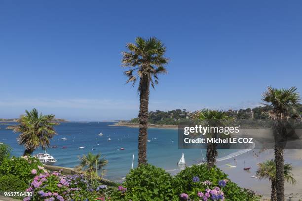 Trestraou beach on July 16, 2010.