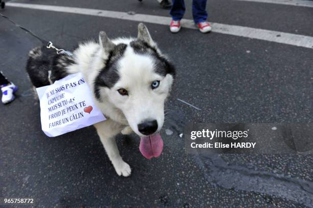 Laissons leur peau aux animaux", Manifestation anti-fourrure, Paris, France.