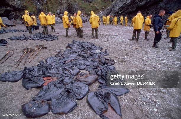 France, Bretagne, Belle-île-en-Mer, marée noire de l'Erika, des volontaires nettoient les plages. France, Bretagne, Belle-île-en-Mer, marée noire de...