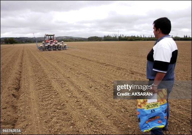 Demonstration du semencier Monsanto (sous l'égide de l'Association générale des producteurs de maïs d'une variète de maïs transgénique dans une...