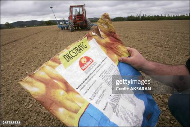 Demonstration du semencier Monsanto (sous l'égide de l'Association générale des producteurs de maïs d'une variète de maïs transgénique dans une...