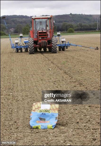 Demonstration du semencier Monsanto (sous l'égide de l'Association générale des producteurs de maïs d'une variète de maïs transgénique dans une...