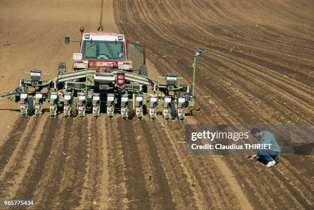 AGRICULTEUR DANS UN CHAMP.