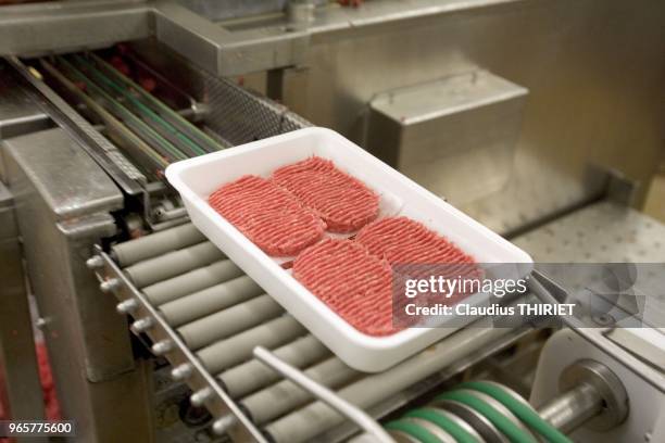 Agro alimentaire. Atelier de decoupe de viande. Preaparation des steaks haches.