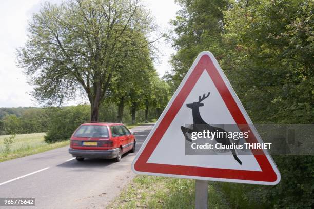 Voiture circulant sur une route bordee par la foret avec un panneau signaletique indiquant la presence d'animaux des bois de type cerf suceptibles de...