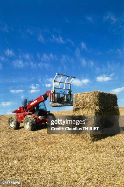 AGRICULTURE, BOTTES DE FOIN.