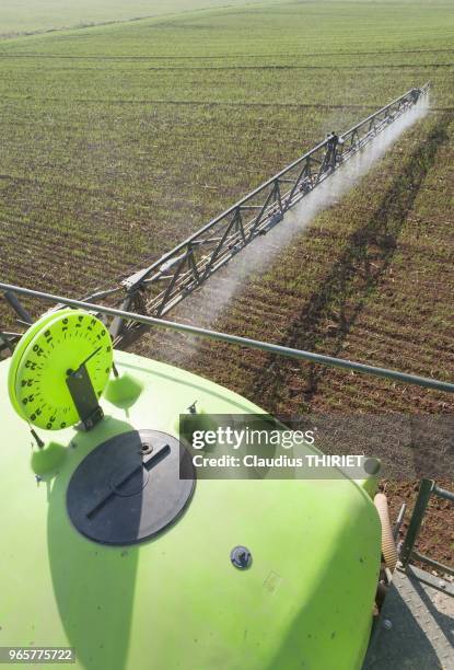 Agriculture. Pulverisation sur ble a l'automne. Desherbage ou insecticide .