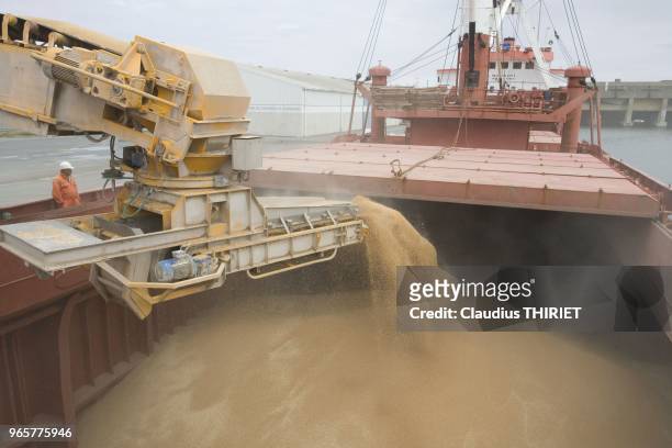 Agriculture. Chargement de cereales sur un cargo au port de La Pallice . Convoyeur qui transporte les cereales jusqu'au bateau.