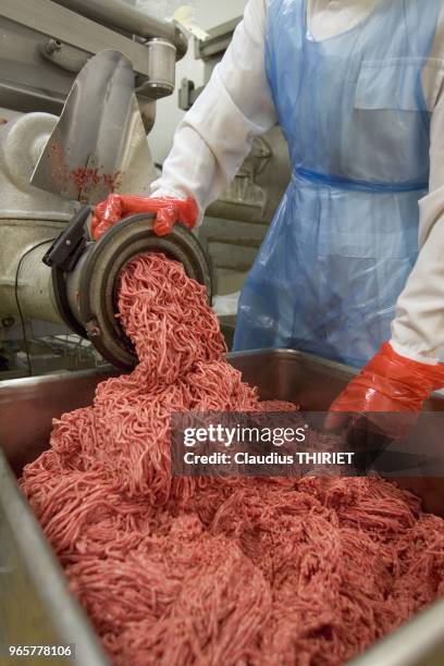 Agro alimentaire. Atelier de decoupe de viande. Preparation de la viande hachee.