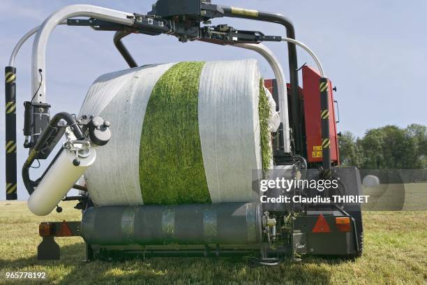 Agriculture. Presse enrubanneuse enrubannant une balle ronde de foin dans la prairie.