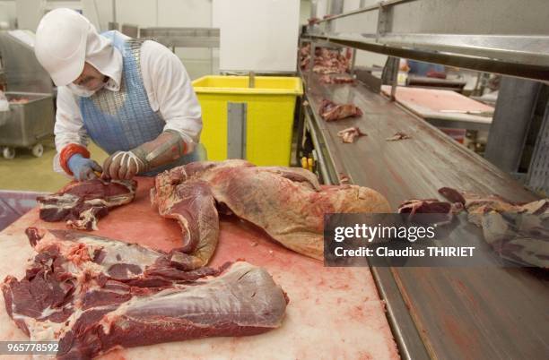 Agro alimentaire. Atelier de decoupe de viande. Atelier de desossage.