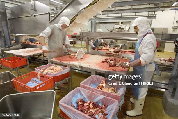 Agro alimentaire. Atelier de decoupe de viande. Atelier de desossage.