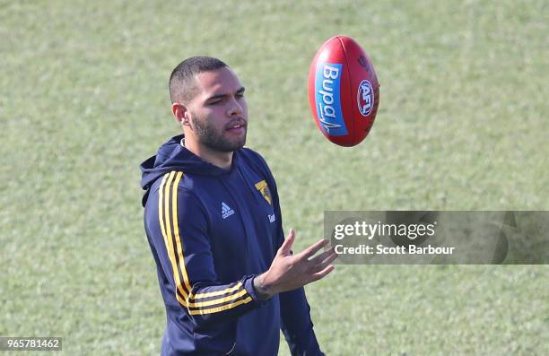 Jarman Impey of the Hawks looks on during the round 11 AFL match between the Hawthorn Hawks and the Port Adelaide Power at University of Tasmania...