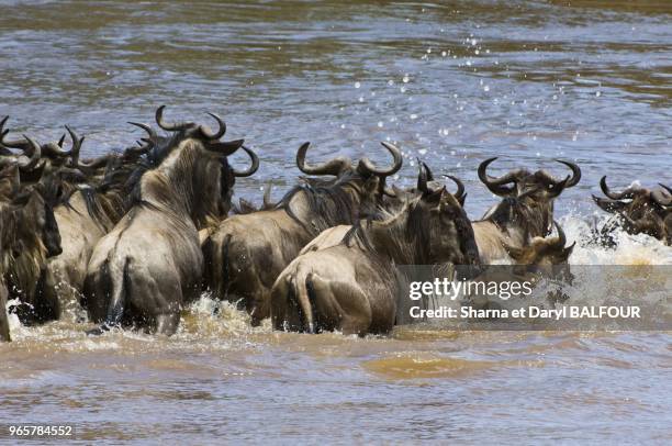 56 Balfour River Stock Photos, HighRes Pictures, and Images Getty Images