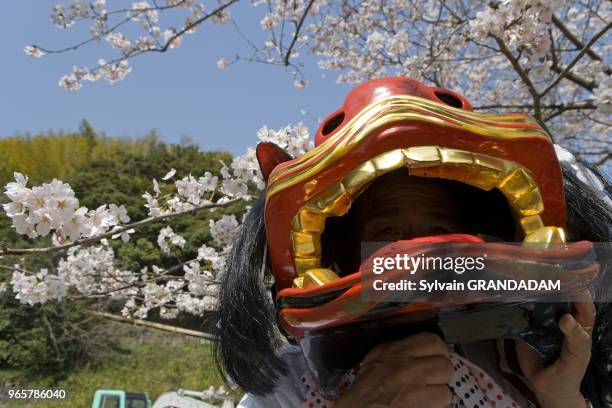 Le festival annuel des "onsen" en avril. Un Mikoshi est transporte. Ville de Beppu, 140.000 habitants celebre pour ses sources chaudes . La vapeur...