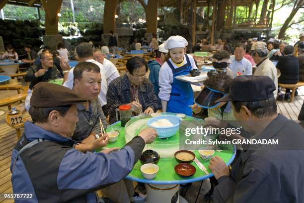 CELEBRE RESTAURANT DE NOUILLES, IBUSUKI, ILE DE KYUSHU, JAPON.