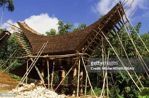 Le pays Toraja se situe au centre de Sulawesi . C est une region montagneuse dont les habitants, les Toradjas, ont conserve leurs traditions...
