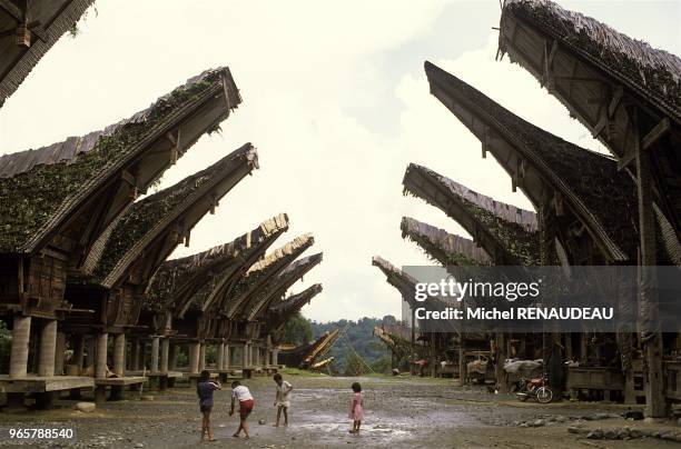 Le pays Toraja se situe au centre de Sulawesi . C est une region montagneuse dont les habitants, les Toradjas, ont conserve leurs traditions...