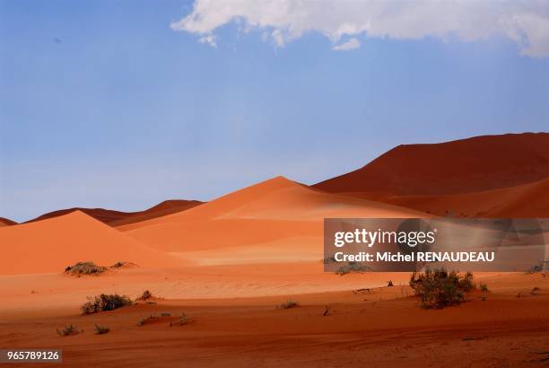 Sossulvley en namibie est une porte d'entrée pour aborder les grandes dunes rouge du désert du namib dont certaines s'élàvent à plus de 300m d'ou...